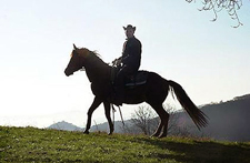 Italy-Northern Italy-Veneto's Castles and Mountains Ride